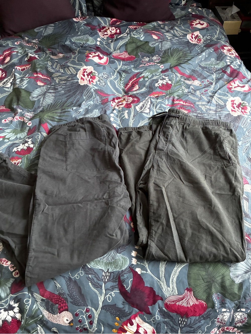 James Perse Men's Casual Elastic Waist Pants - Charcoal Gray (Group of 2)